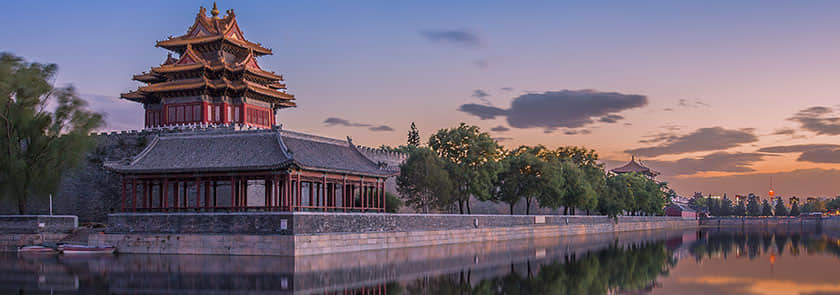 Roots — History & Culture