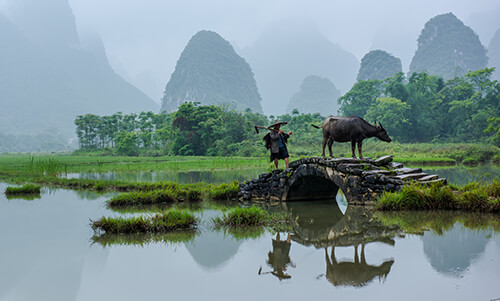 Horizon — Zhangjiajie