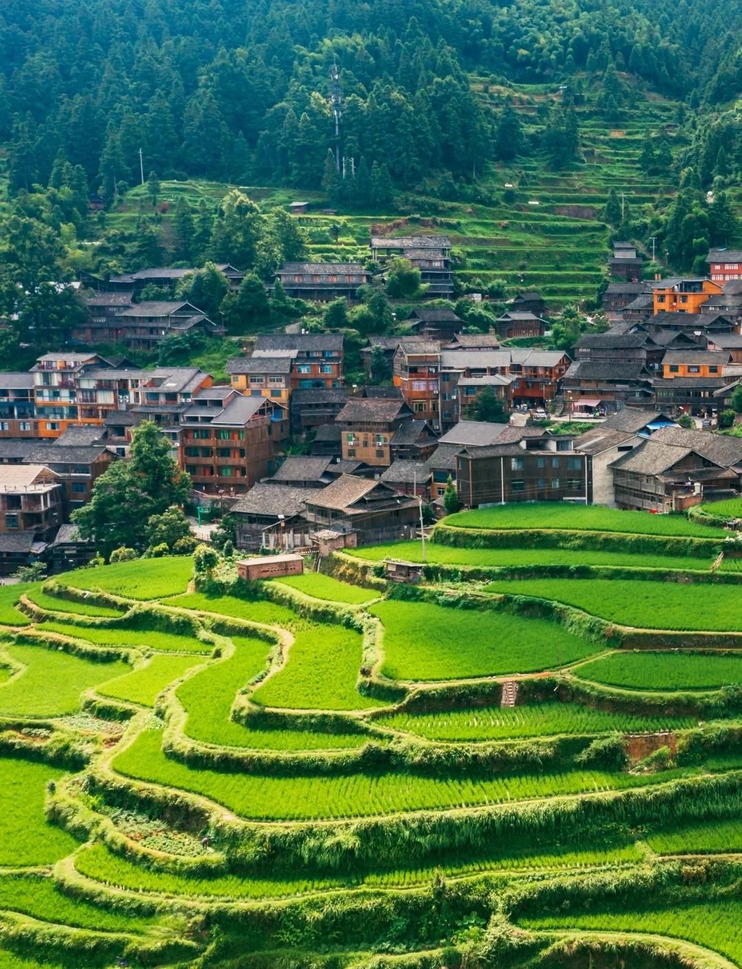 Ping'an & Dazhai Villages